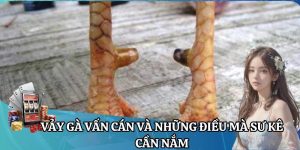 VẢY GÀ VẤN CÁN VÀ NHỮNG ĐIỀU MÀ SƯ KÊ RR88 CẦN NẮM